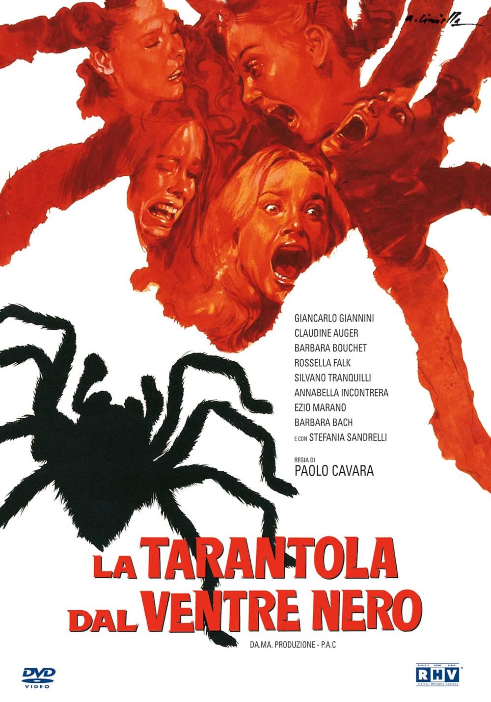 Tarantola Dal Ventre Nero (La