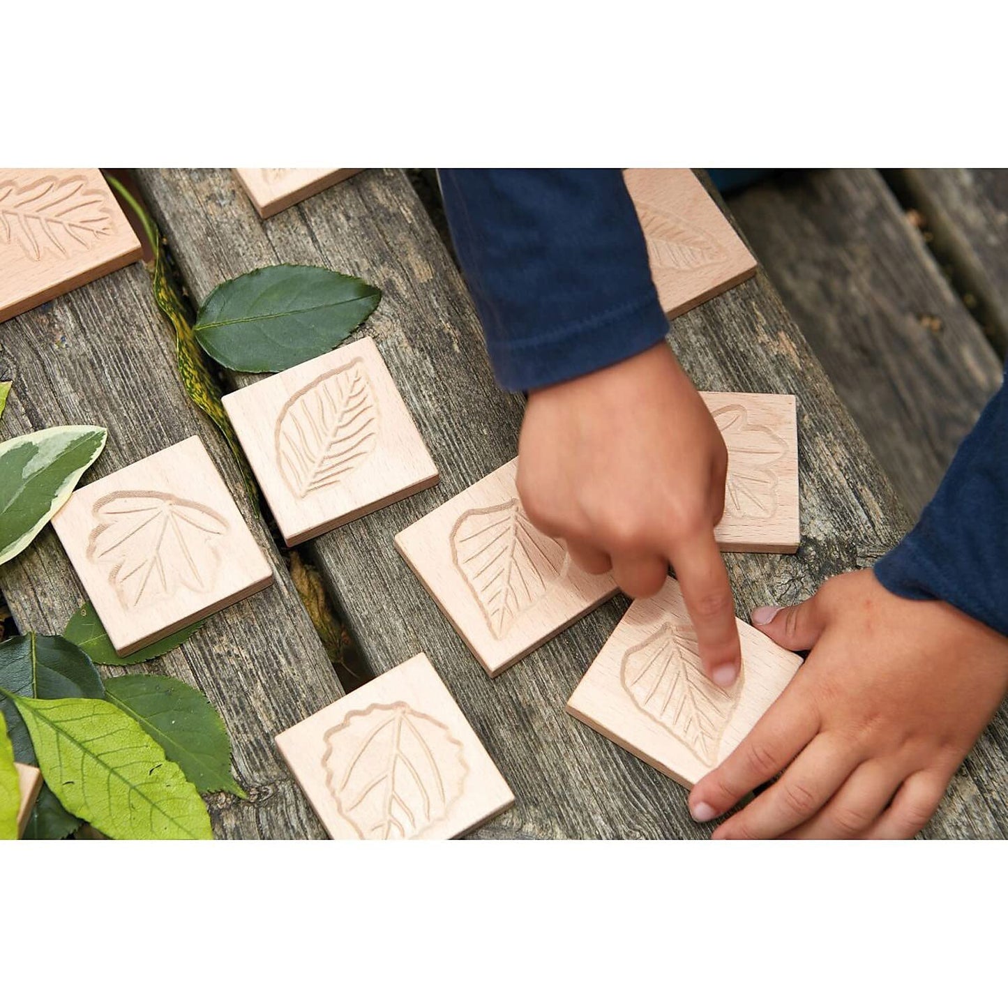 Match Me: Sensory Leaf Tiles