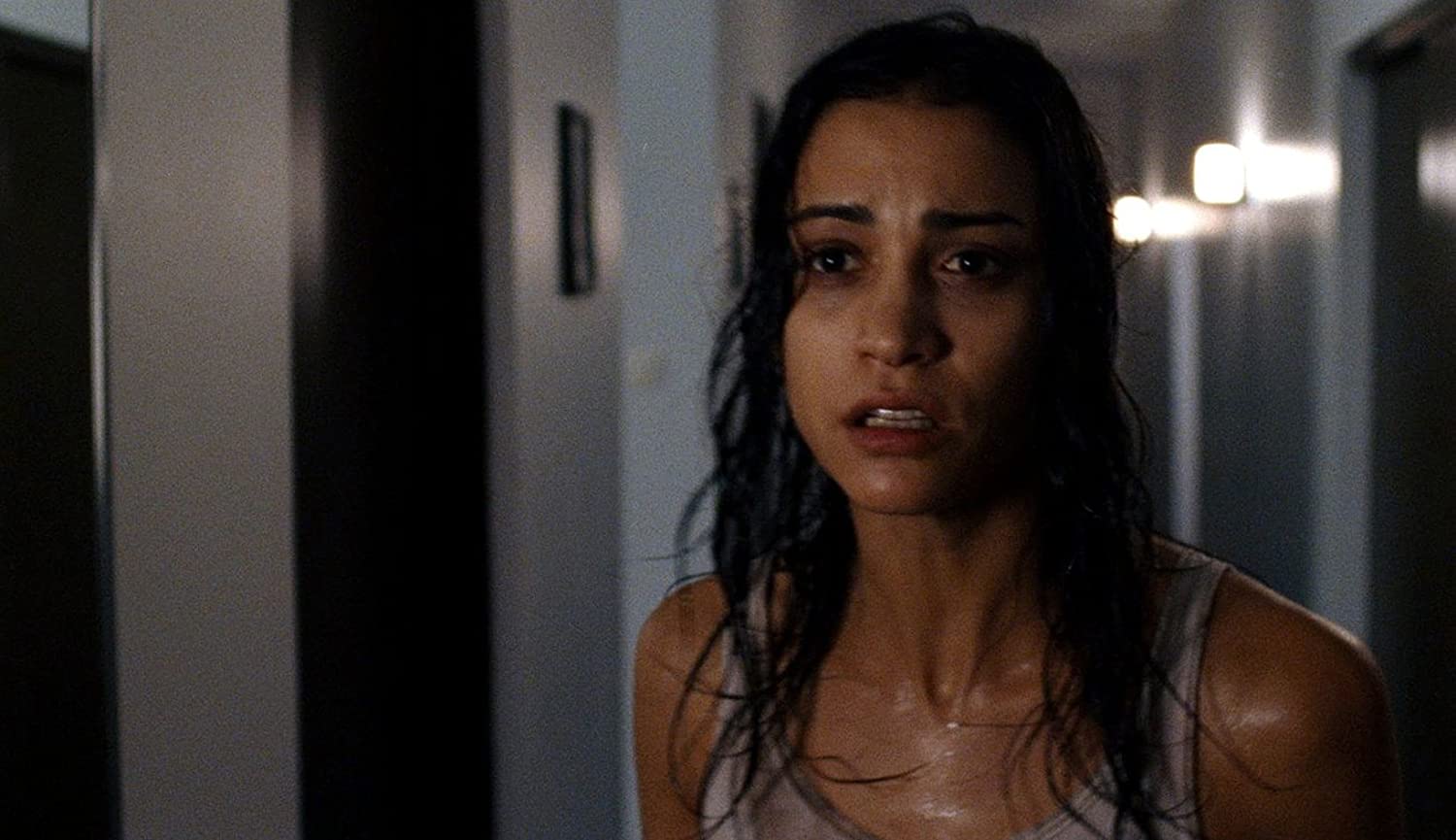PASCAL LAUGIER - MARTYRS - DAS ORIGINAL