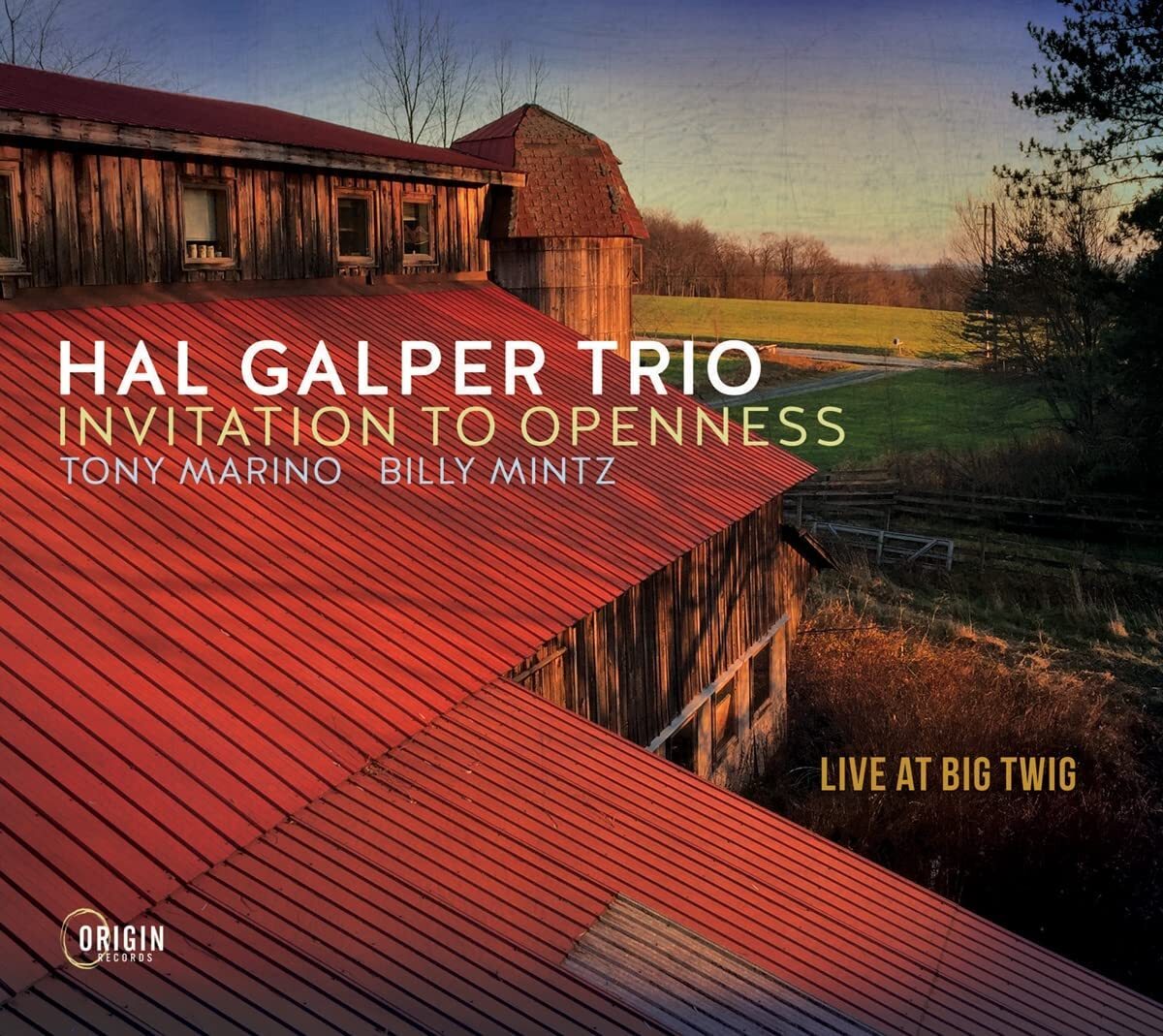 Invitation to Openness: Live at Big Twig