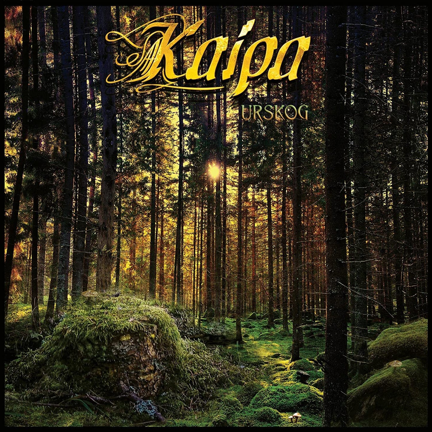 Urskog