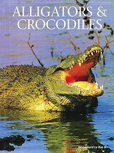 Alligators and Crocodiles
