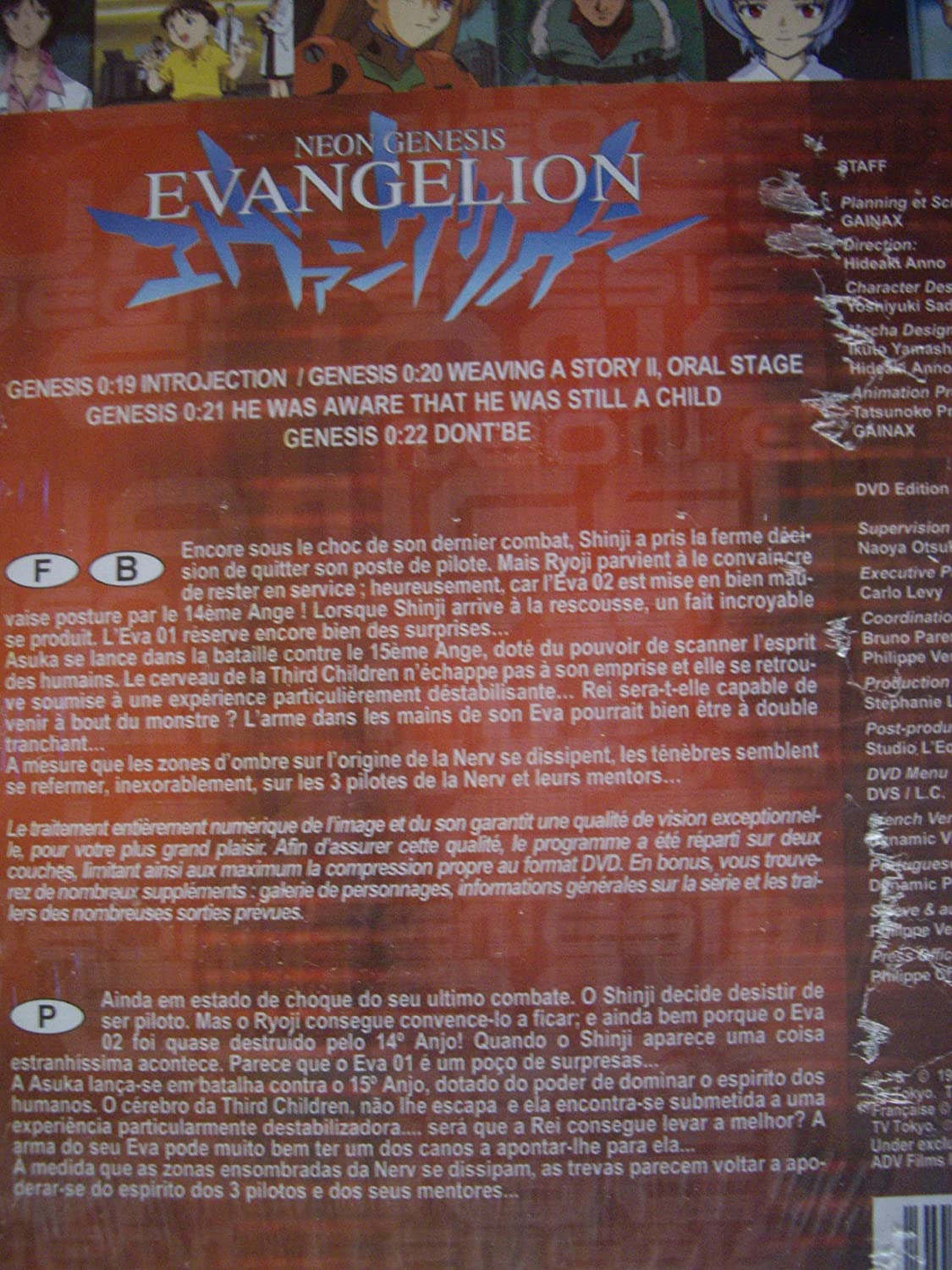 Evangelion vol 5