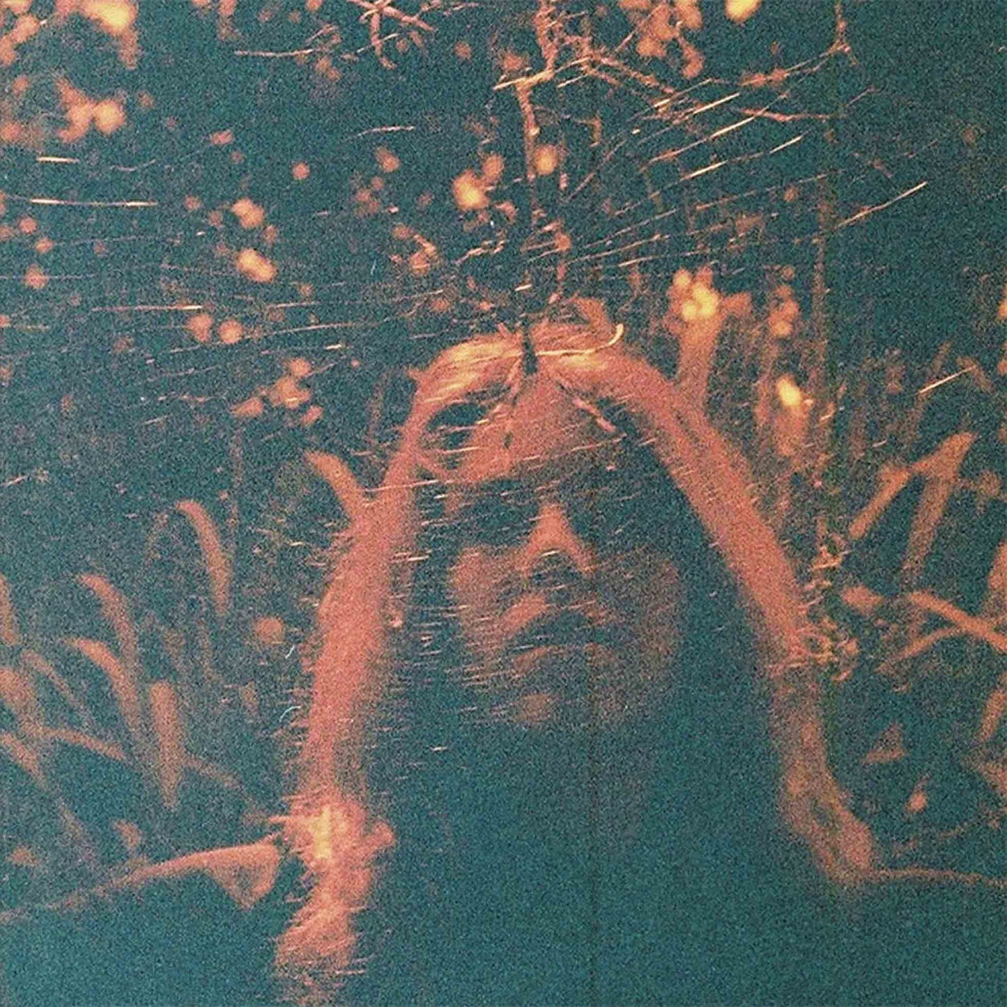 Peripheral Vision (Clear Orange