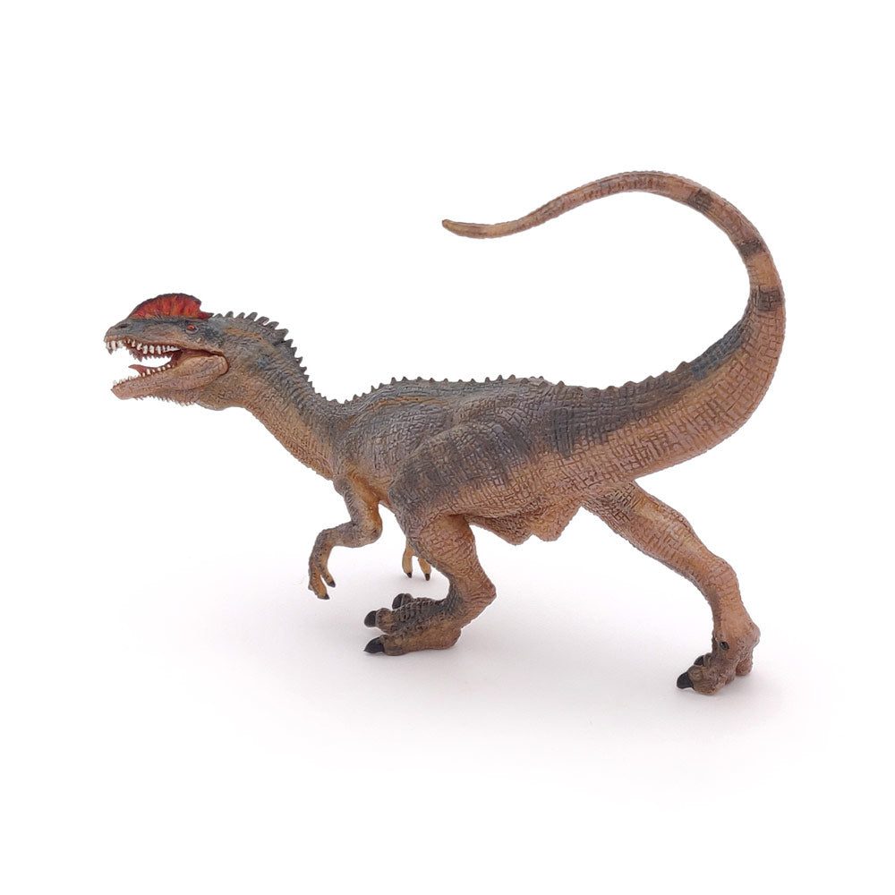 PAPO Dinosaurs Dilophosaurus Toy Figure, Multi-colour (55035)