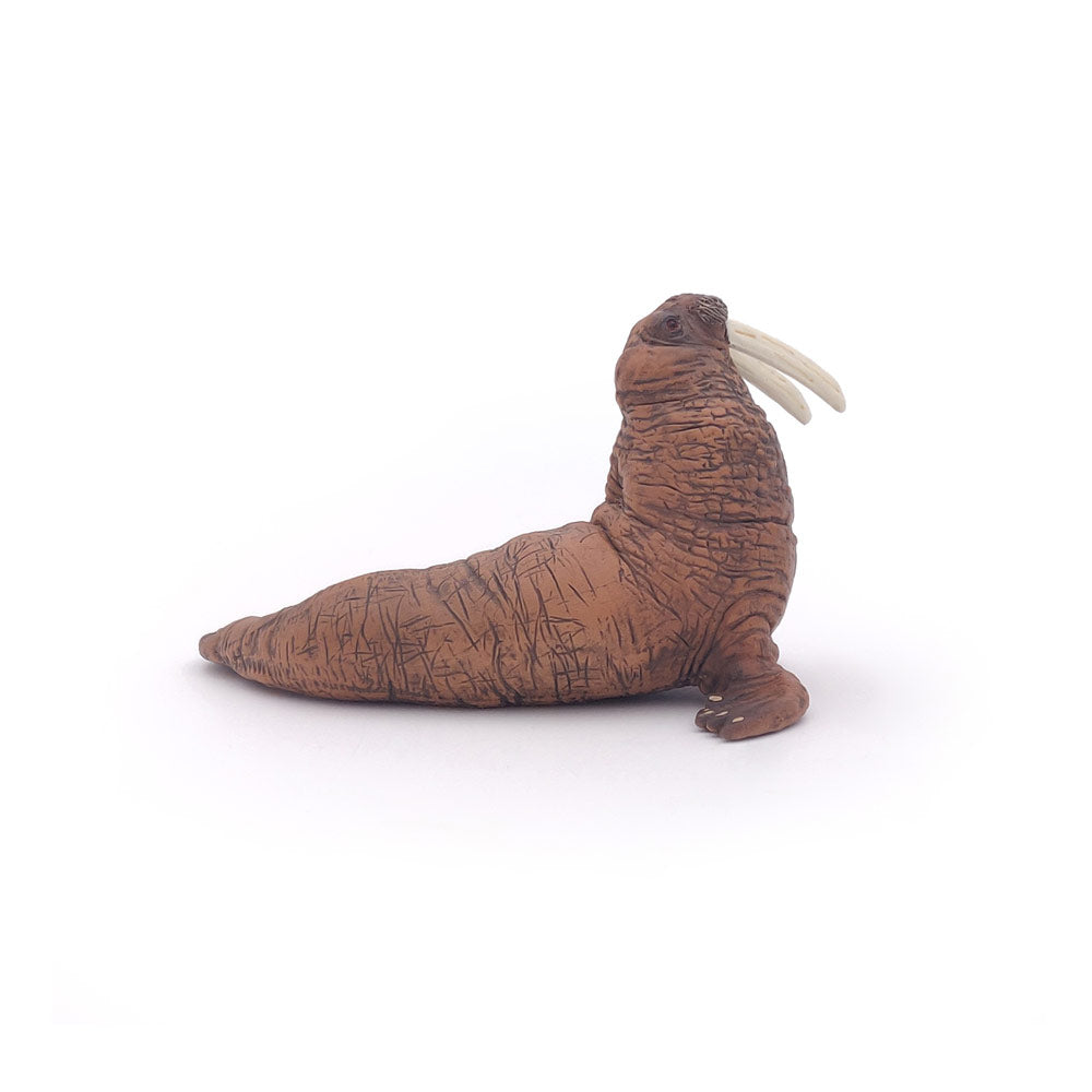 Papo MARINE LIFE Figurine, 56030 Walrus, Multicolour