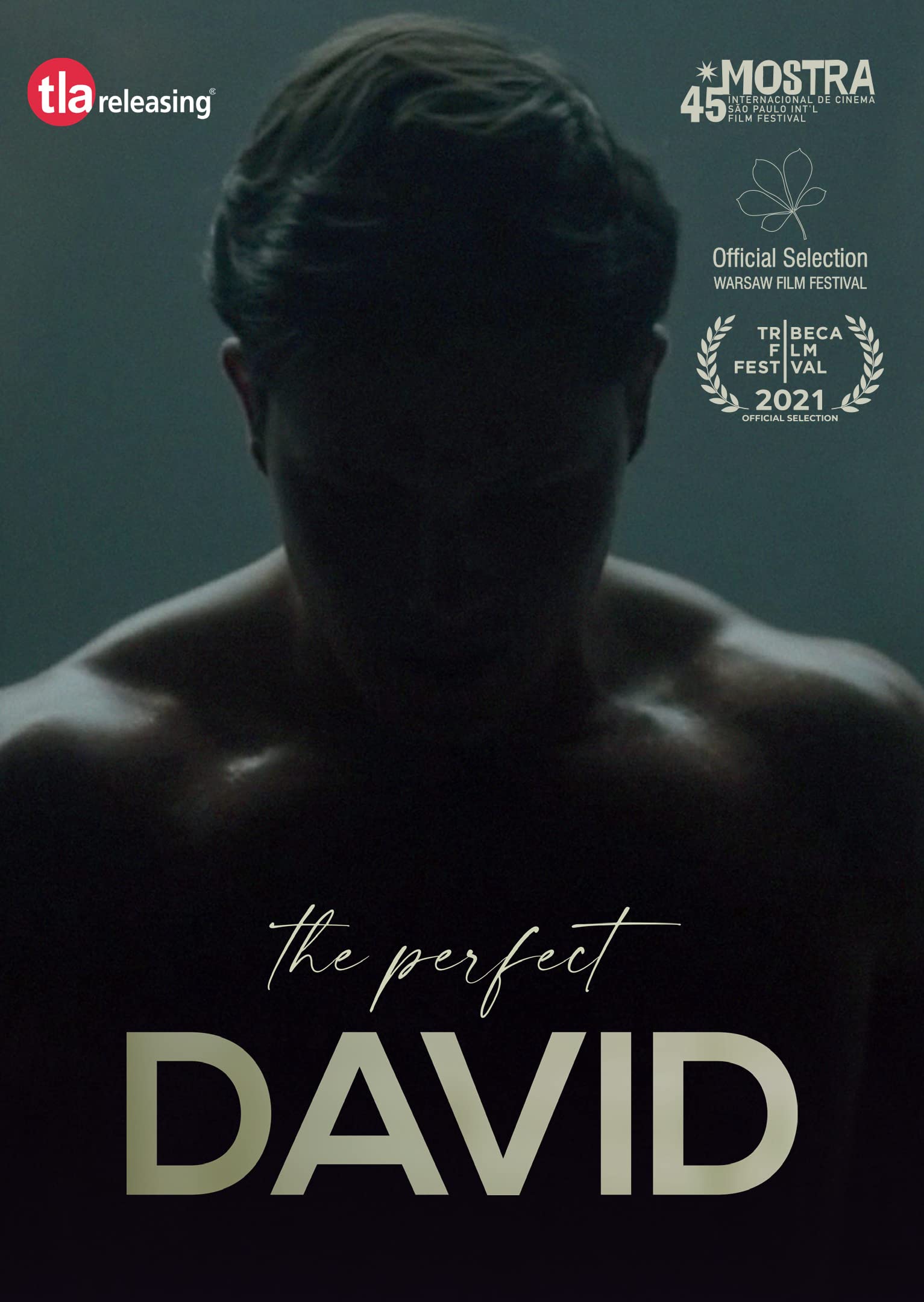 The Perfect David