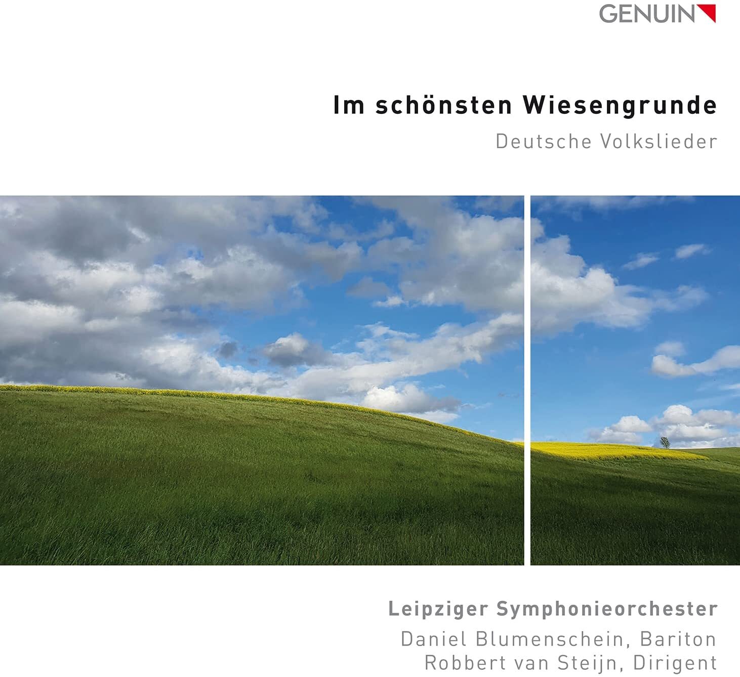 Im Schönsten Wiesengrunde: Deutsche Volkslieder