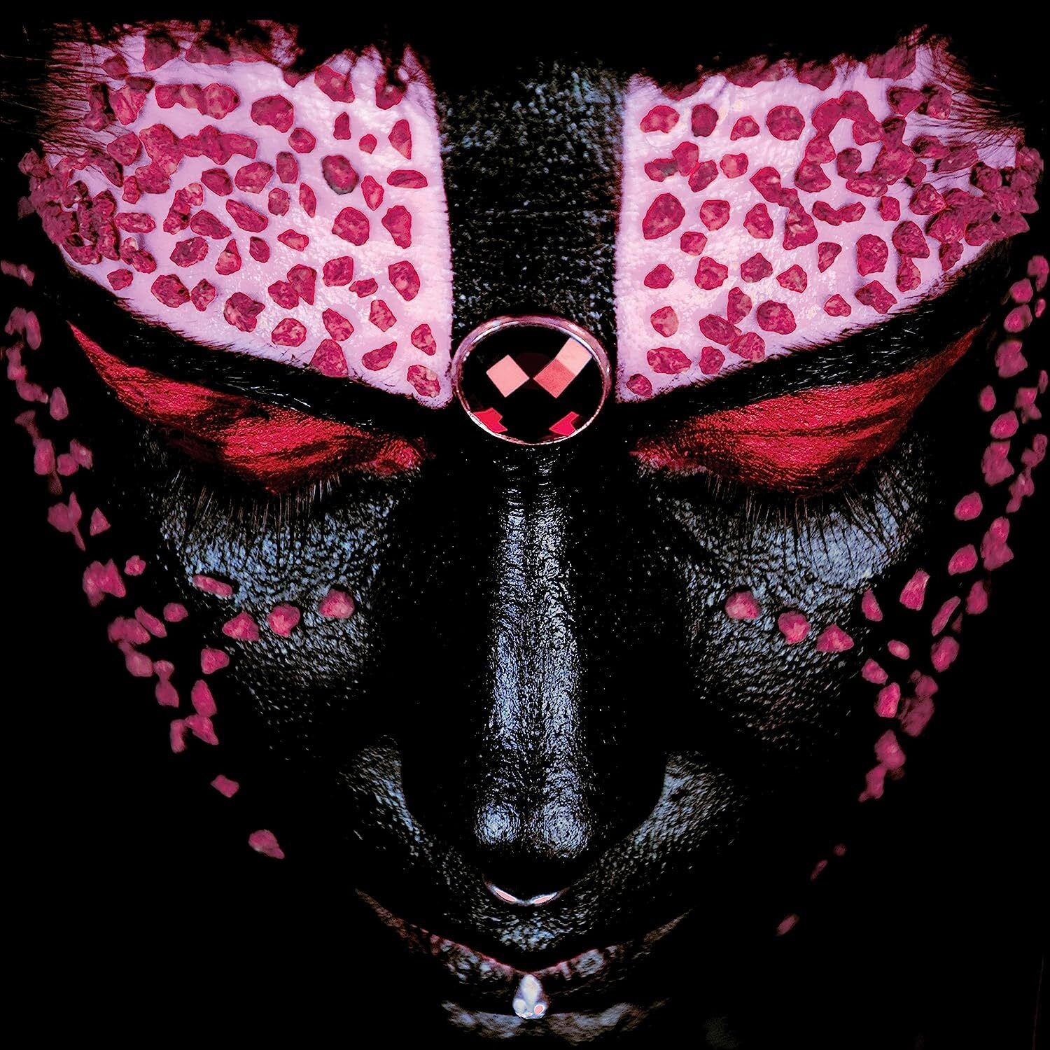 Animami