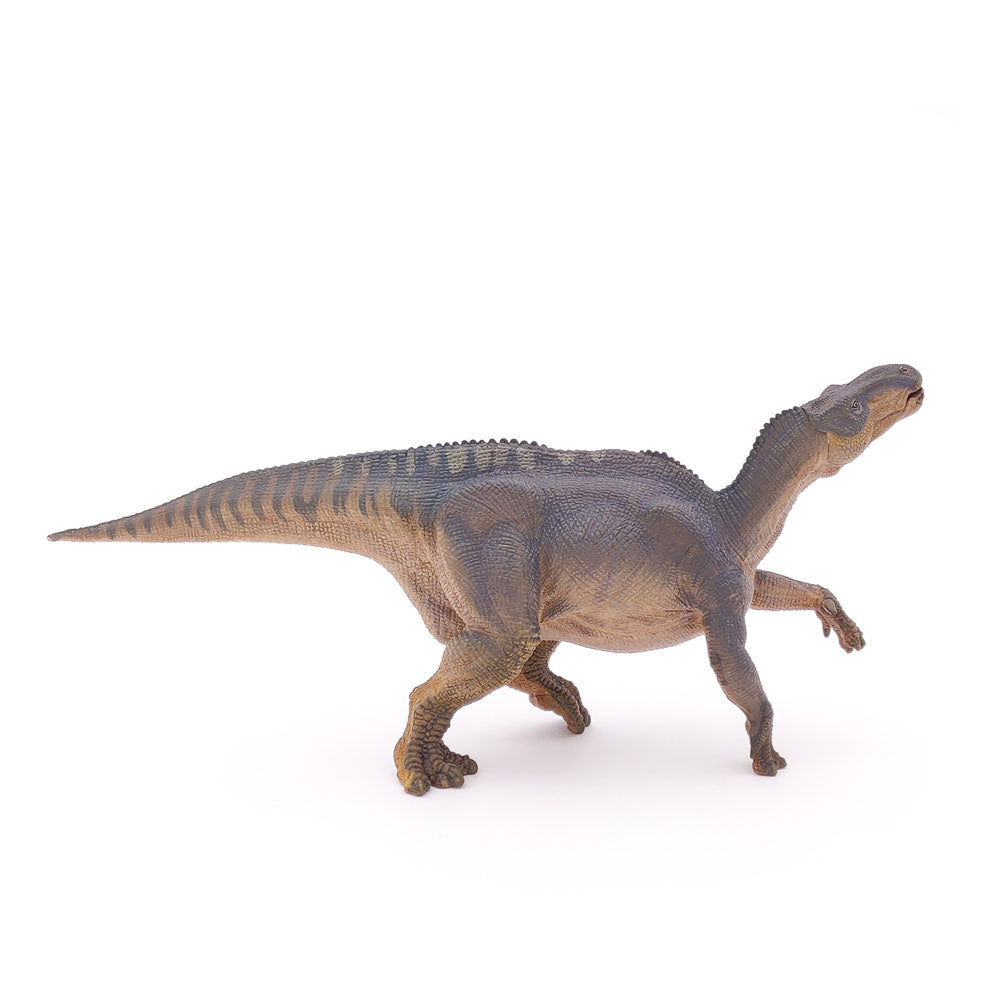 PAPO Dinosaurs Iguanodon Toy Figure, Multi-colour (55071)