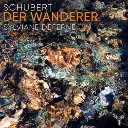 Schubert: Der Wanderer