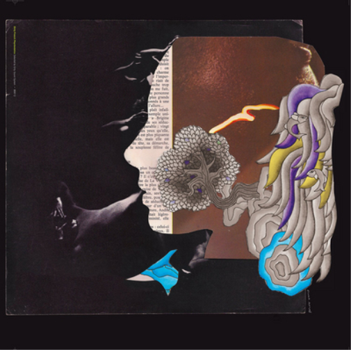 D.I.R.T.Y. French Psychedelic