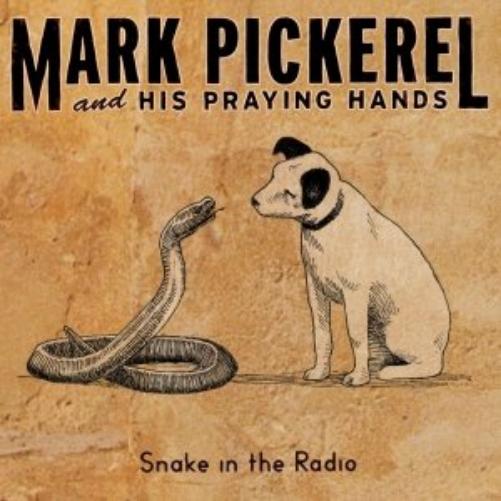 Snake in the Radio