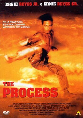 the process dvd Italian Import