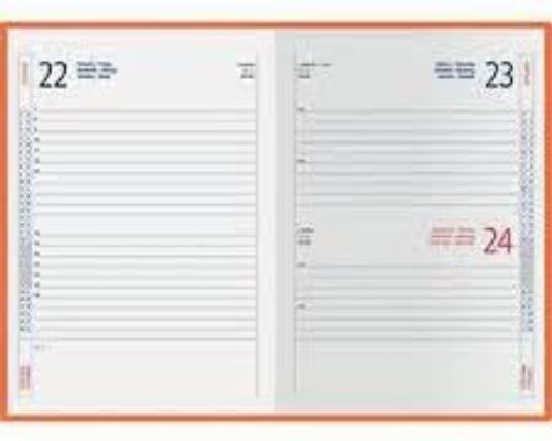 SHOPPARE - Agenda 2024 Giornaliera in Similpelle Sintetico Formato A5 15x21 cm. Vari Colori 9101XMT (arancione)