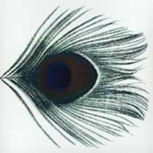 Homespun Vol. I Home Demos