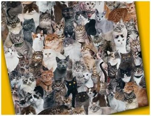 Paul Lamond 5995'The World’s Most Difficult Jigsaws/Cats' Puzzle (529-Piece