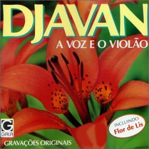 Voz E O Violao