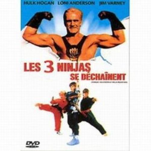 Les 3 Ninjas se Déchainent