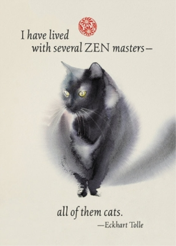 ZEN Master Cat