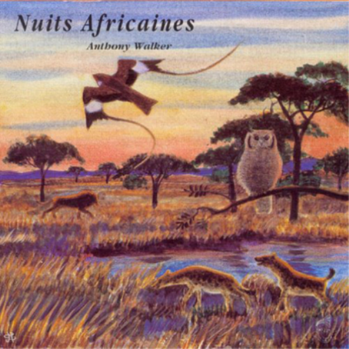 Nuits Africaines