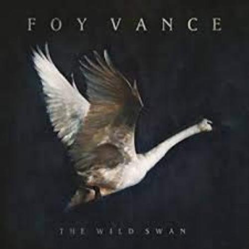 Wild Swan