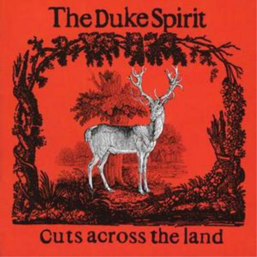 Cuts Across the Land