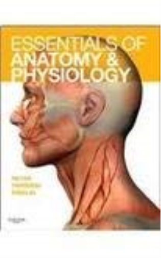 Essentials Of Anatomy And Physiology