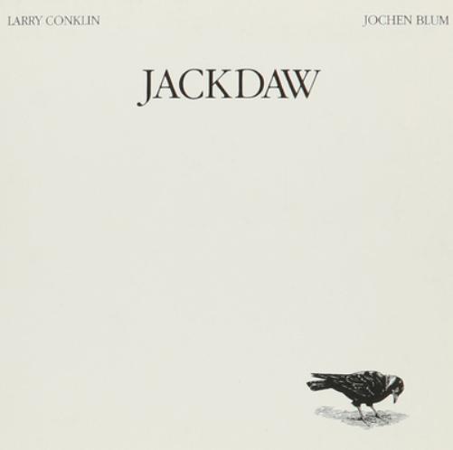Jackdaw