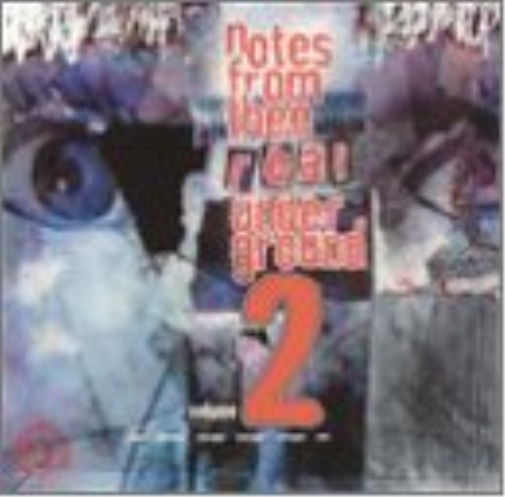Vol. 2-Notes from Thee Real Un