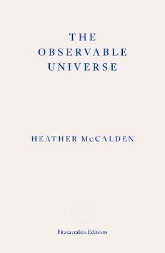 The Observable Universe