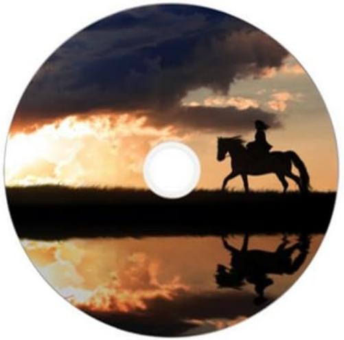 Verbatim 43667 8.5GB 8x Double Layer DVD+R Inkjet Printable - 25 Pack Spindle