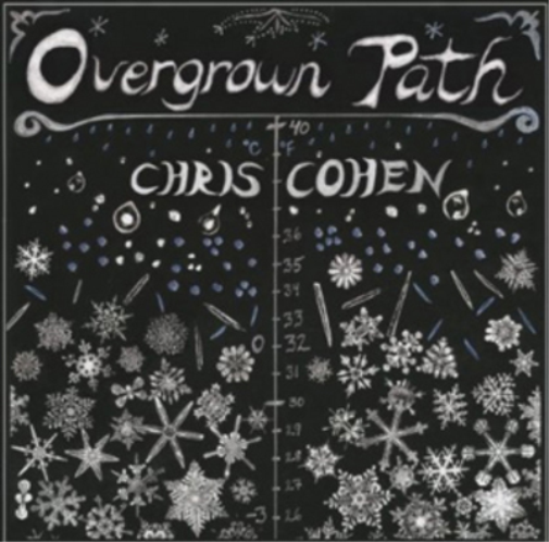 Overgrown Path