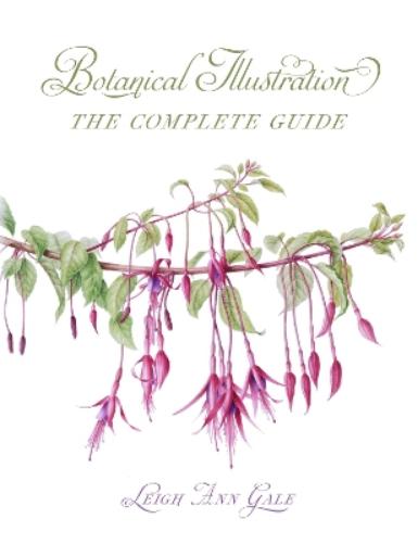 Botanical Illustration