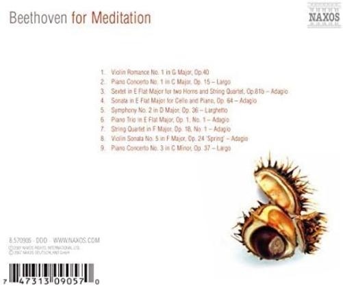 Beethoven for Meditation