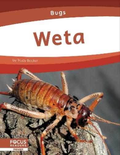 Bugs: Weta