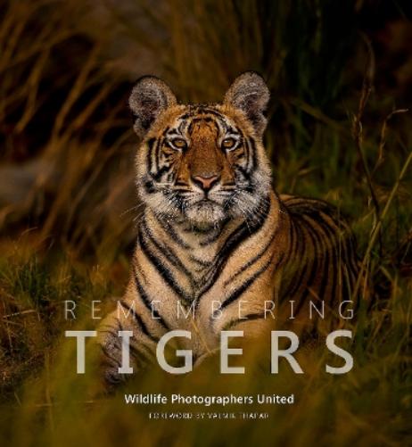 Remembering Tigers: 9 (Remembering Wildlife