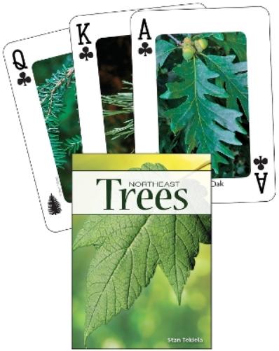 Trees of the Northeast Playing Cards (Nature's Wild Cards