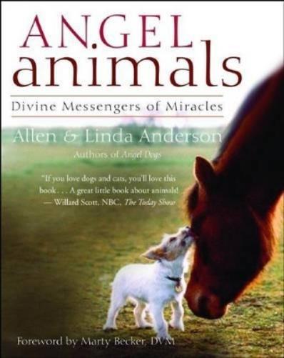 Angel Animals