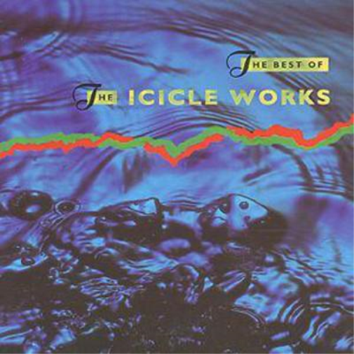 Best Of The Icicle Works