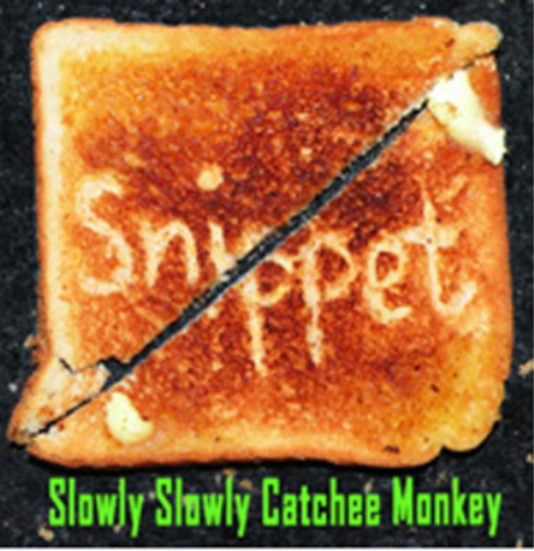 Slowly Slowly Catchee Monkey