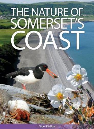 The Nature of Somerset's Coast