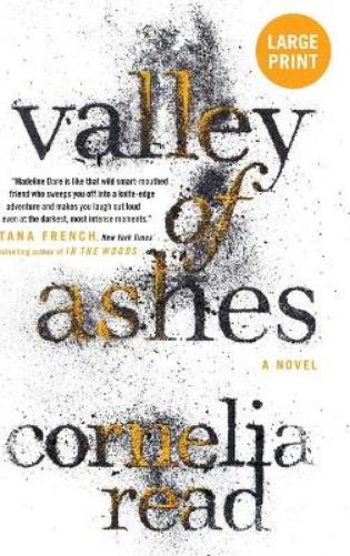 Valley of Ashes
