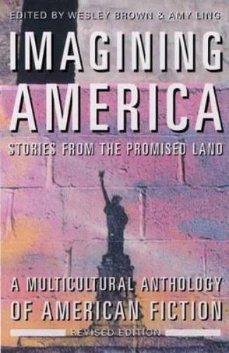 Imagining America - Stories from the Promised Land Rev