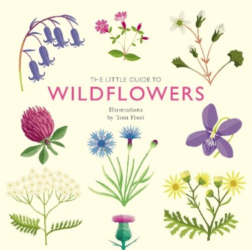 The Little Guide to Wildflowers (Little Guides