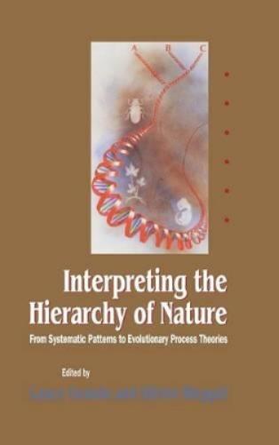 Interpreting the Hierarchy of Nature