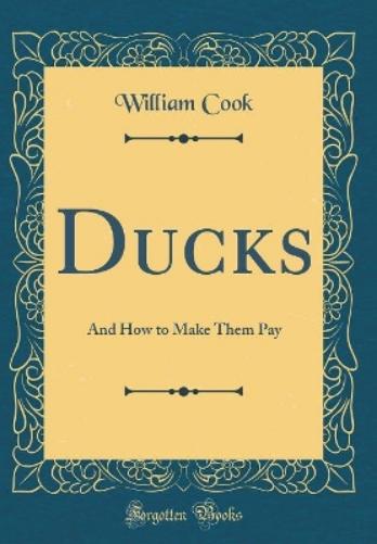 Ducks
