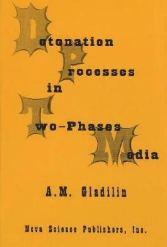 Detonation Process in Two-Phase Media