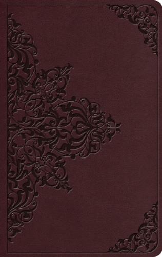 ESV Value Thinline Bible
