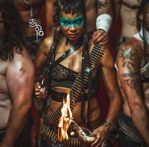 Shaka Ponk